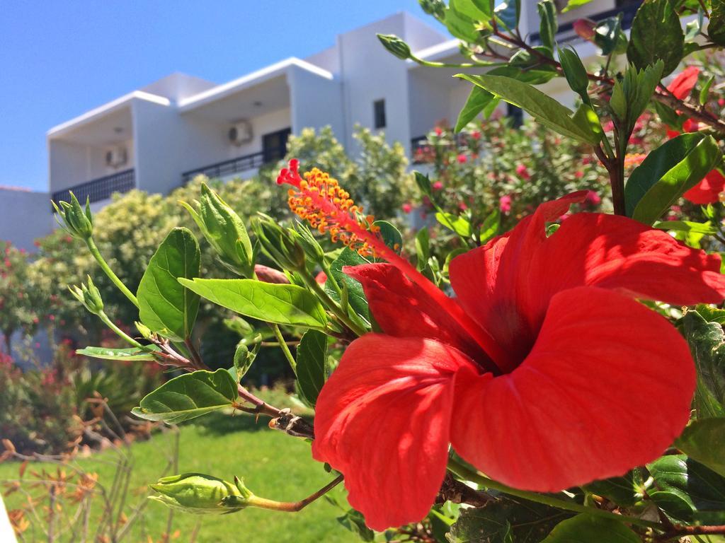Debby Apartments Ialysos (Rhodes) Exterior foto