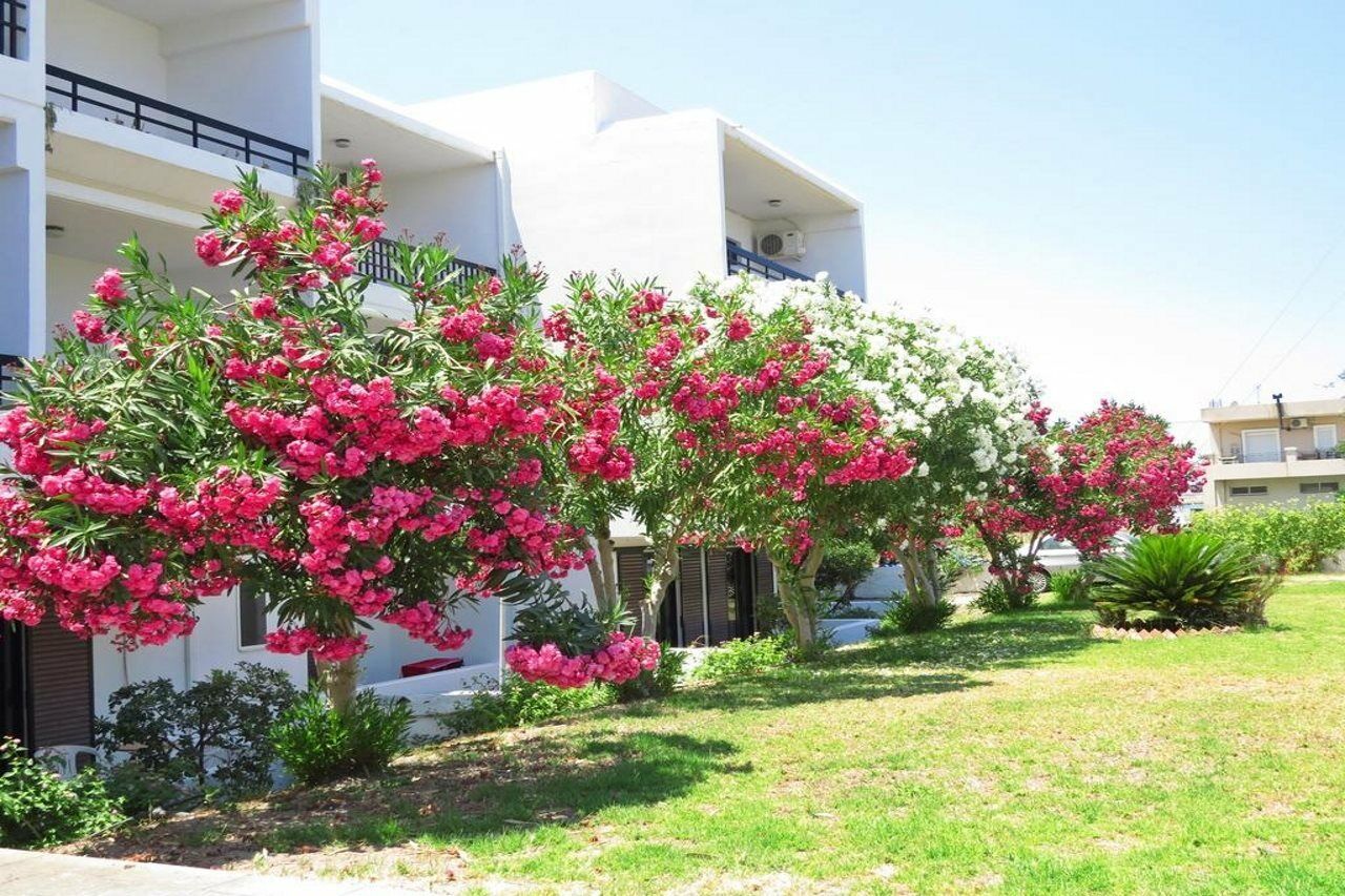 Debby Apartments Ialysos (Rhodes) Exterior foto